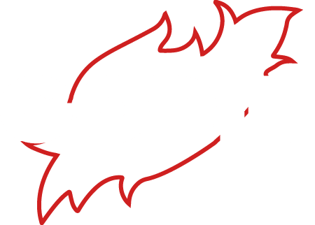 logo cheminées et poêles Godin